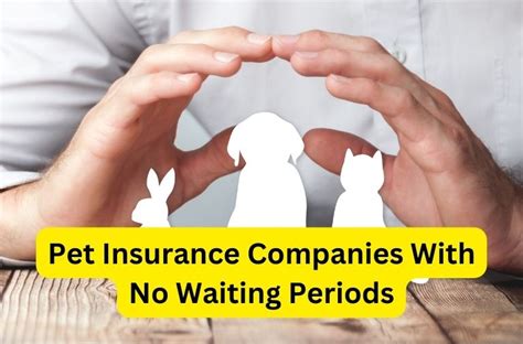 pet insurance no waiting period for illness|pet insurance short waiting period.